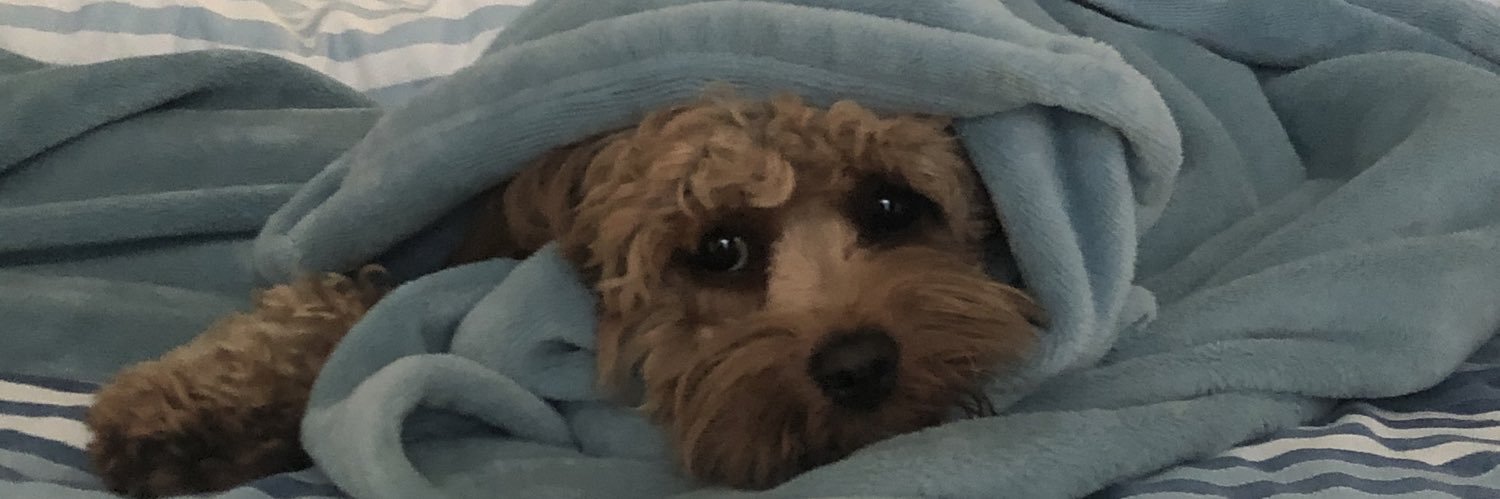 oldmandubs's profile banner image