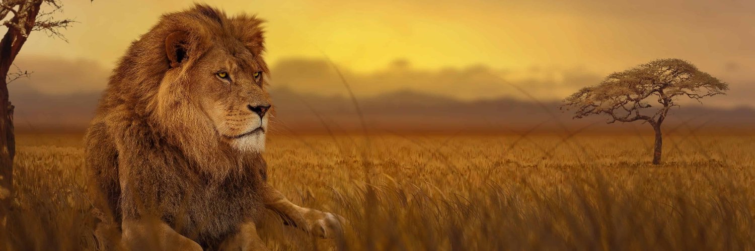 frandelgado88's profile banner image