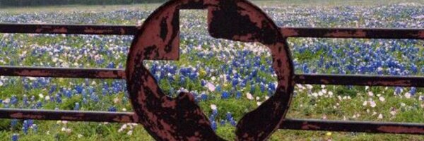 johnscheef Profile Banner