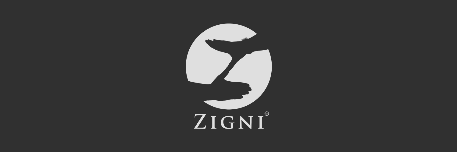 ZigniLife's profile banner image