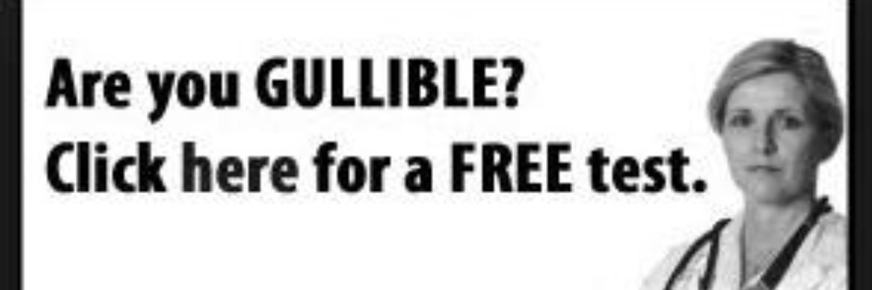 Grillofitall's profile banner image