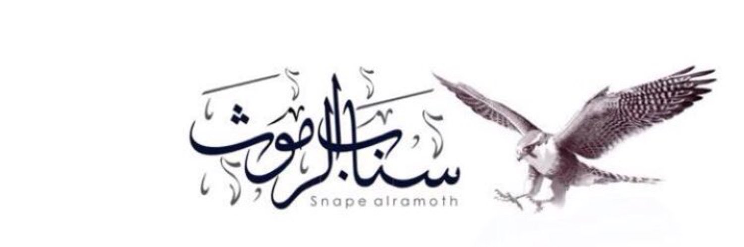 alramoth's profile banner image