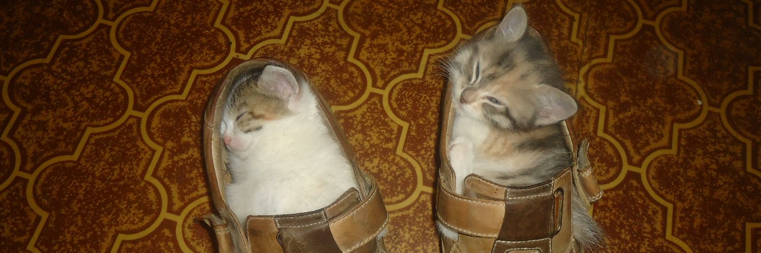 сало печали 🕊 banner