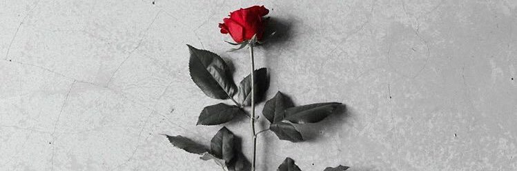 _shelly_1119's profile banner image