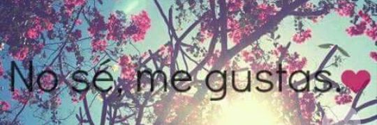 RubyLeedezmaa21's profile banner image