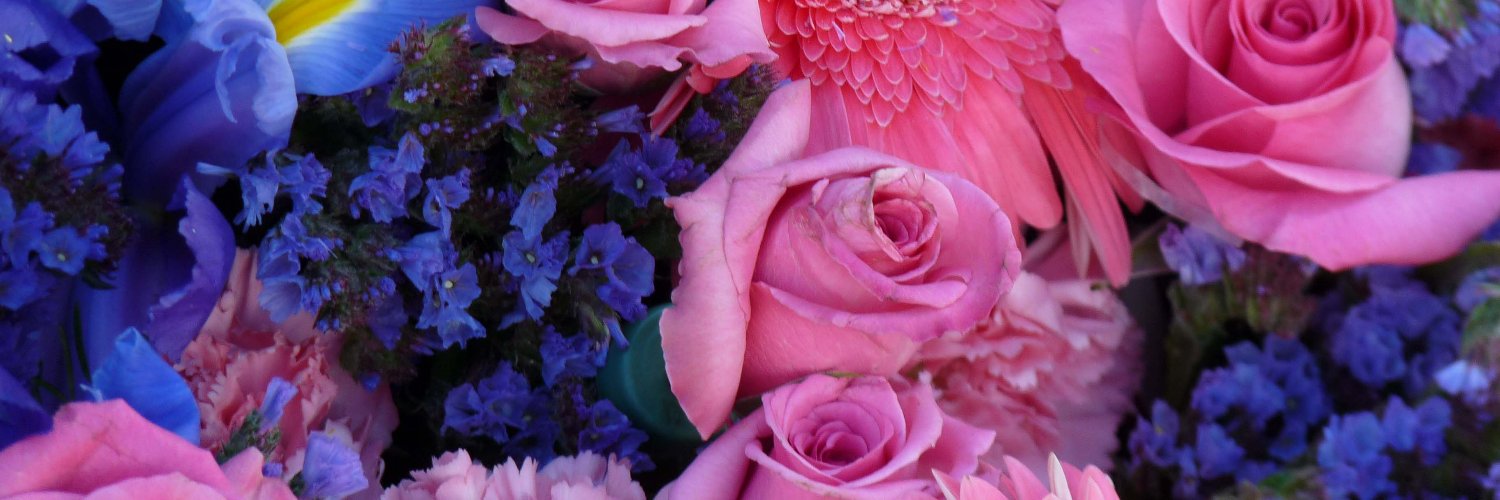 Cheryl Caplow's banner