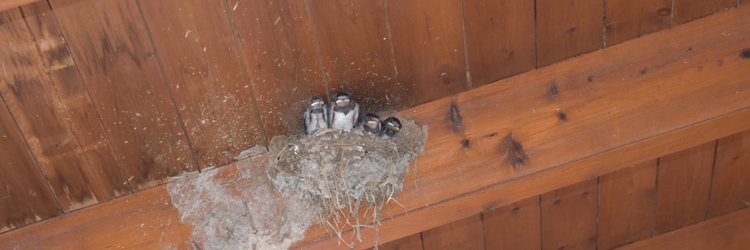 I am not a number banner