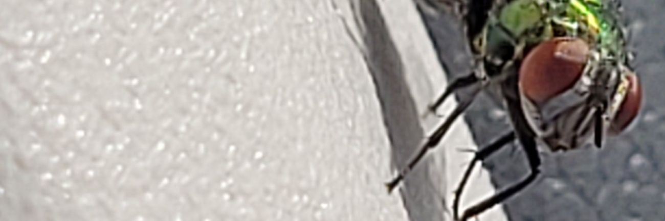 Breadcrummy222's profile banner image