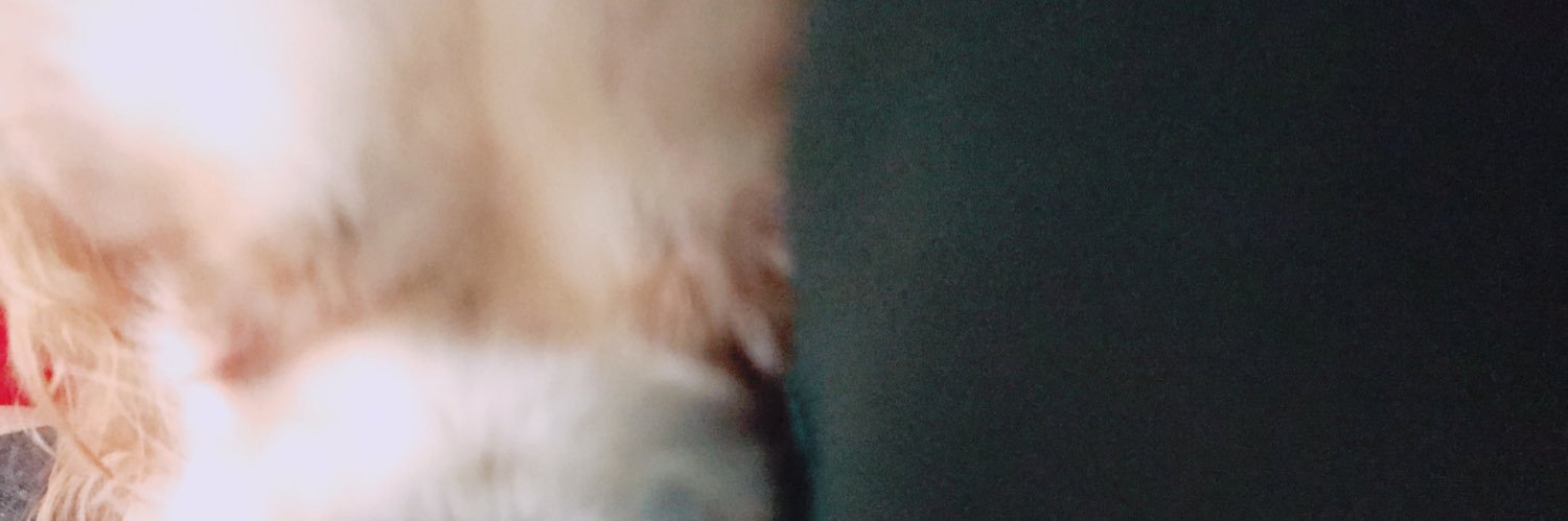 sei_yaman's profile banner image