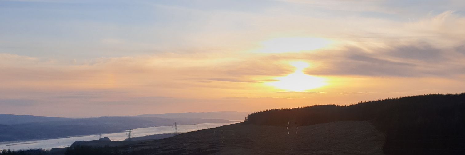 Morgan Bailey banner