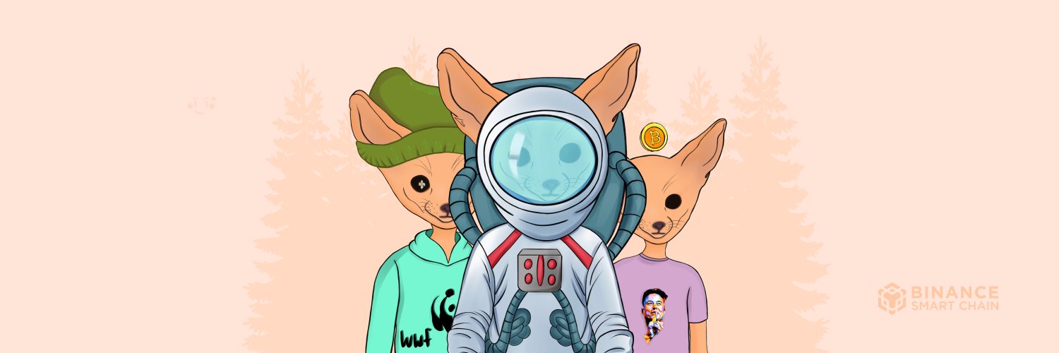 Fennec Fox banner