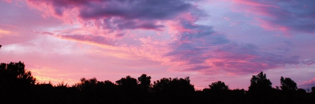 paulaaasm_'s profile banner image