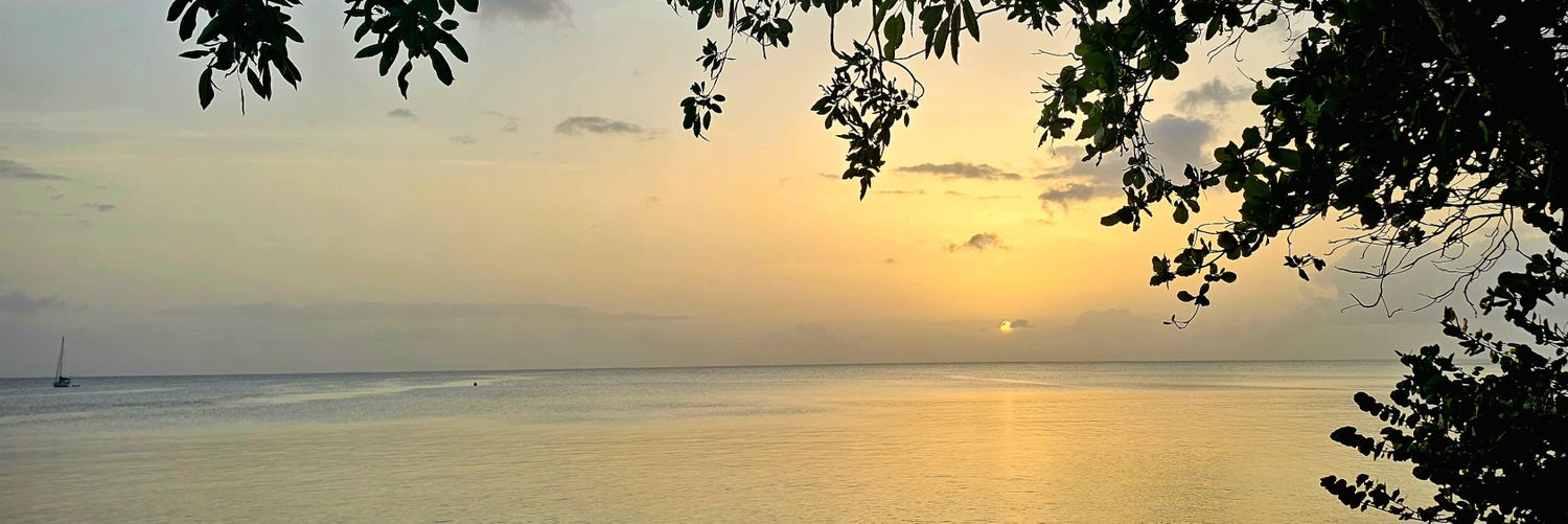 Sucre d'or et de déjà banner