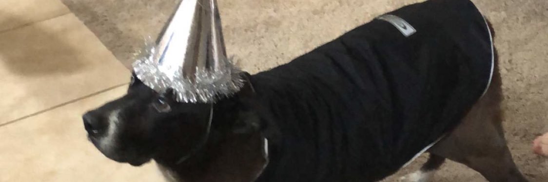 NastyNeas's profile banner image