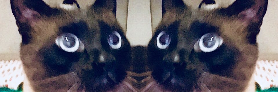 SVrealityTV's profile banner image