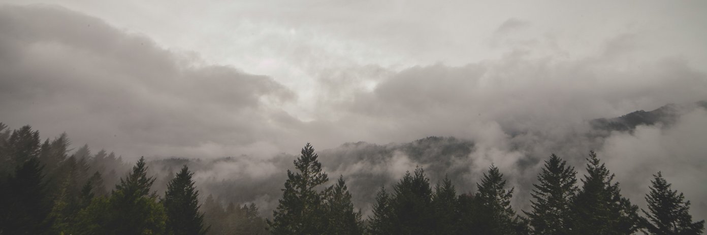 0xN1ell's profile banner image