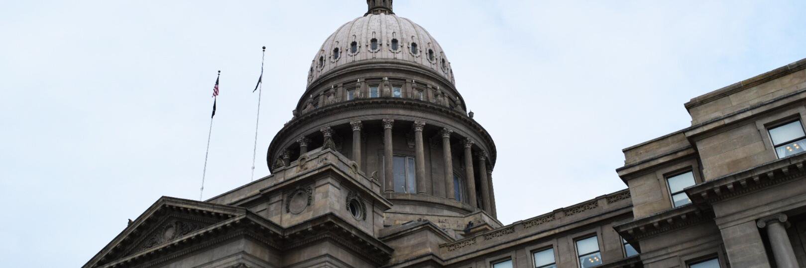 Idaho Freedom Action banner