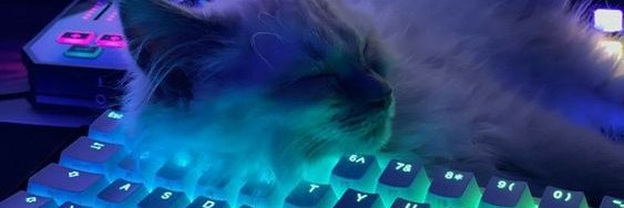 Matteo T. banner