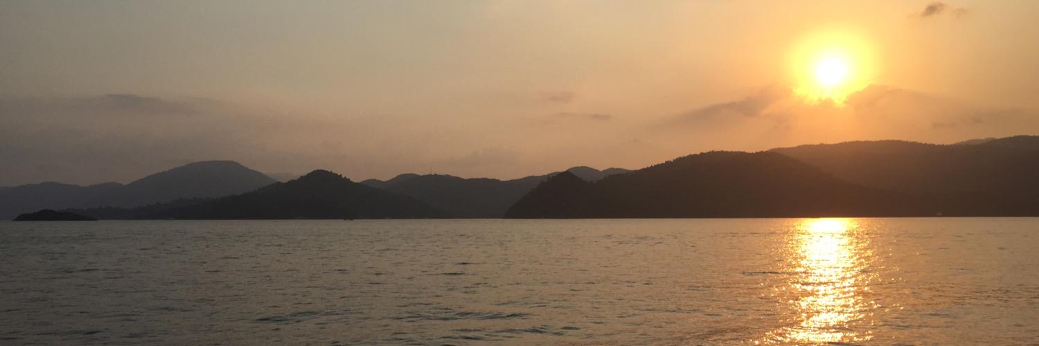 sedakavukoglu's profile banner image