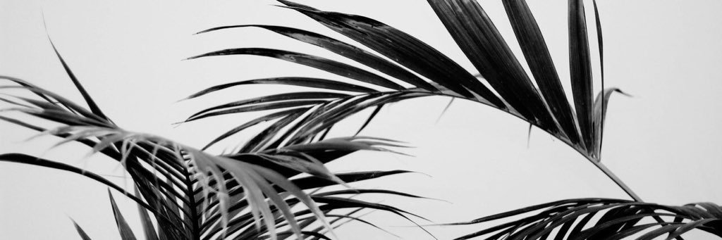 keyisguilty's profile banner image