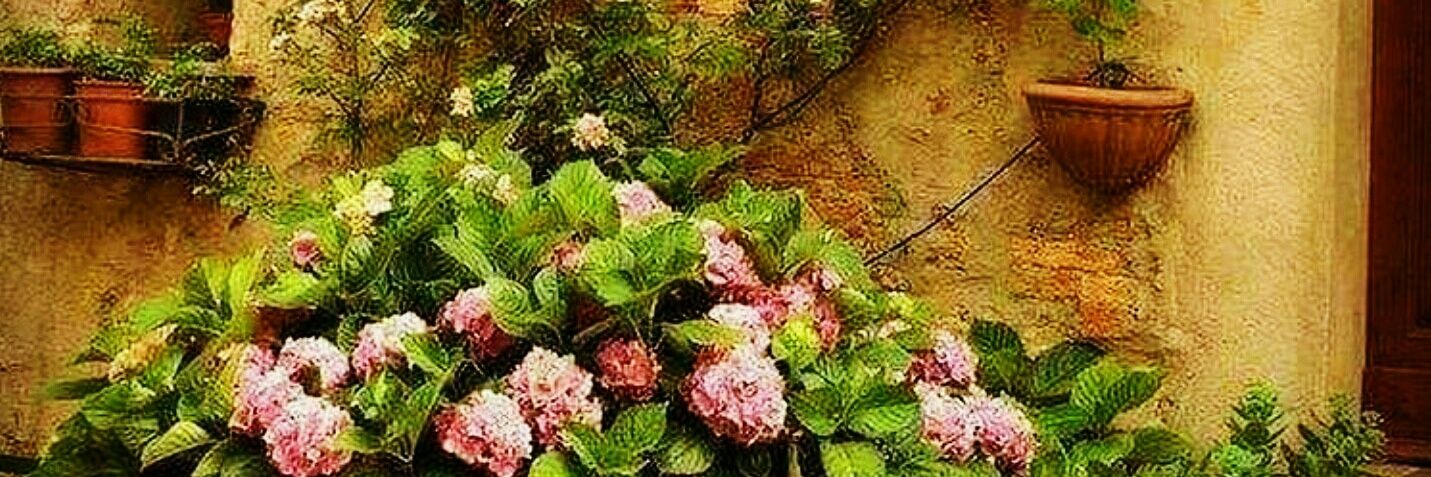 s3d_bak's profile banner image