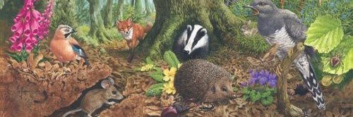 Y2Stradbroke's profile banner image