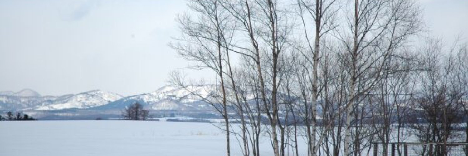 niefou's profile banner image