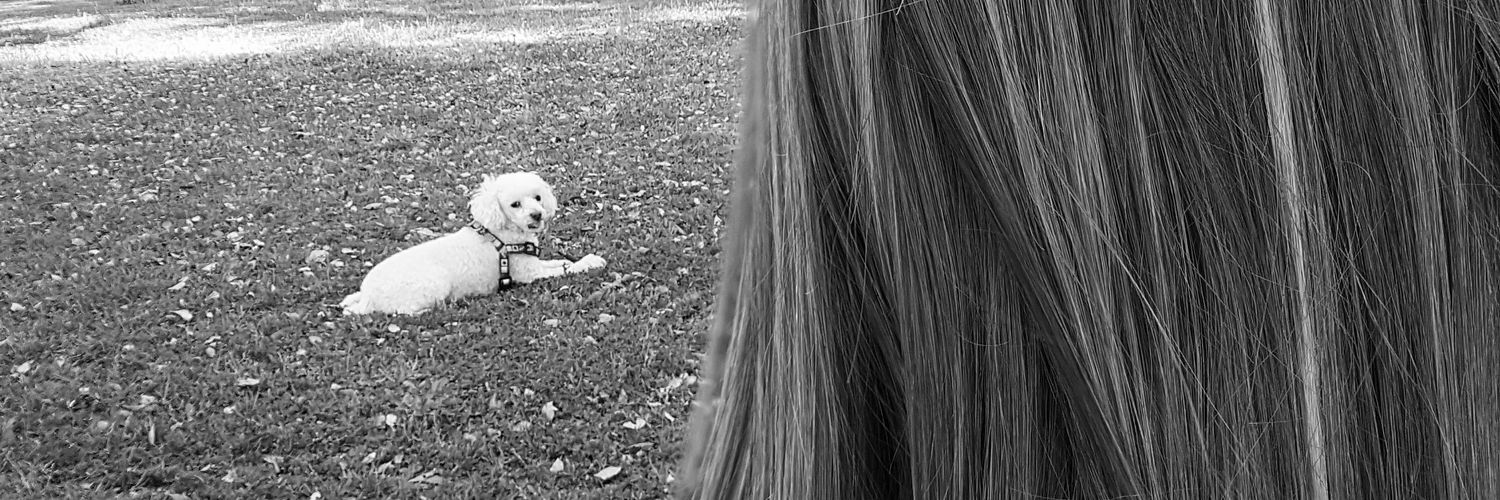 martacastro16's profile banner image
