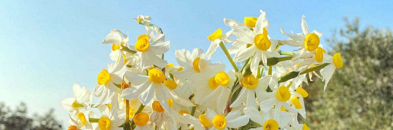 suku_fe's profile banner image