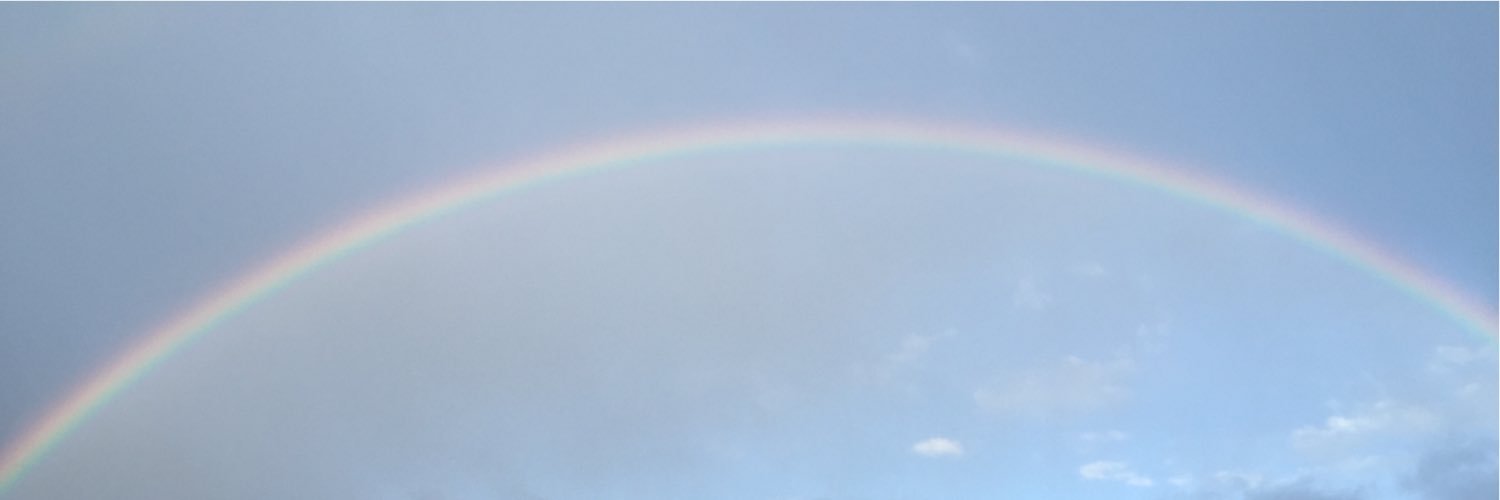 rovizzil's profile banner image