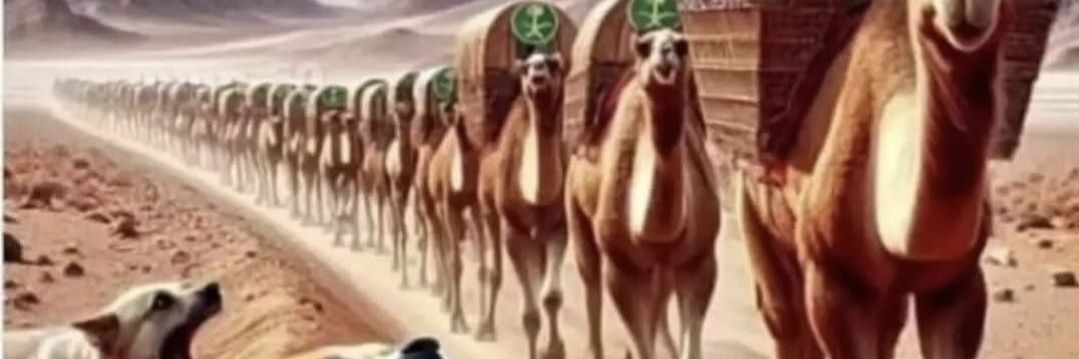 alaned03's profile banner image