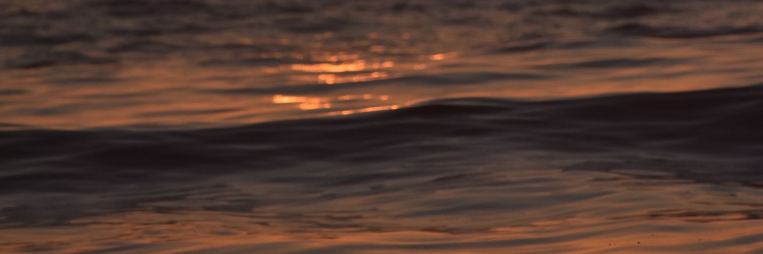 daniela_soltero's profile banner image