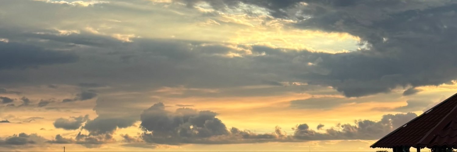 naoominionn's profile banner image