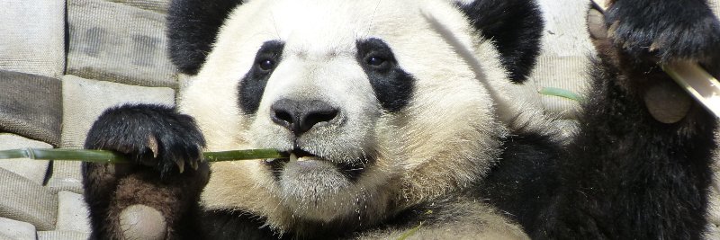 @kariek.bsky.social banner