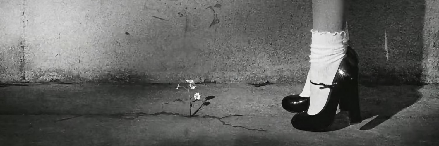 abigbutera's profile banner image