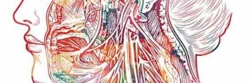 Lim banner