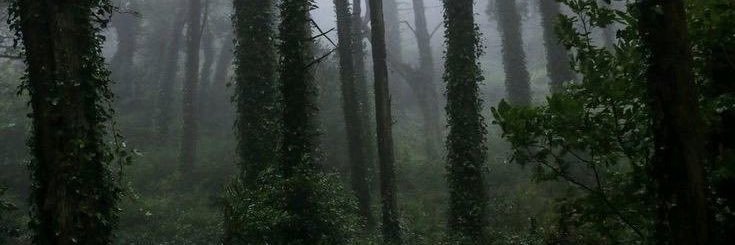 wiizzzmo's profile banner image