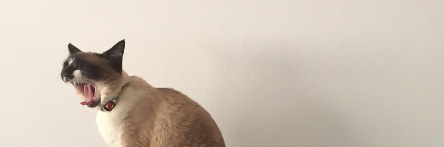 marischerma's profile banner image