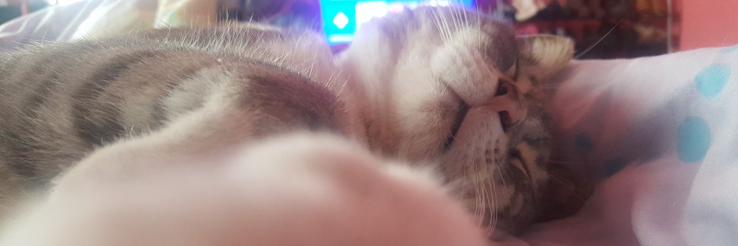 DiaRainbow's profile banner image