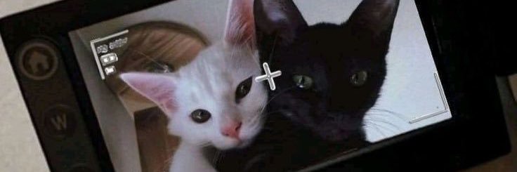 𝒑𝒂𝒖𝒍𝒐 banner