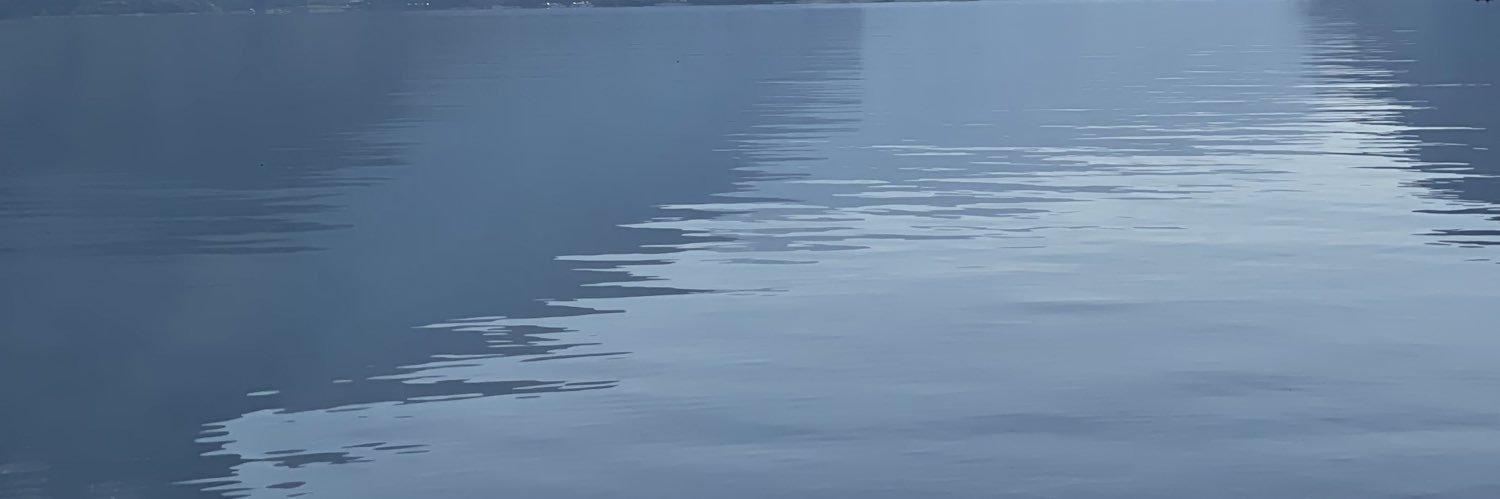 mariafahache's profile banner image