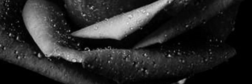 الحرمه أم برقع's banner