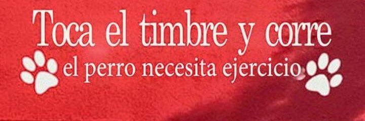 Ang Merino 🇲🇽 🏳️‍🌈 banner
