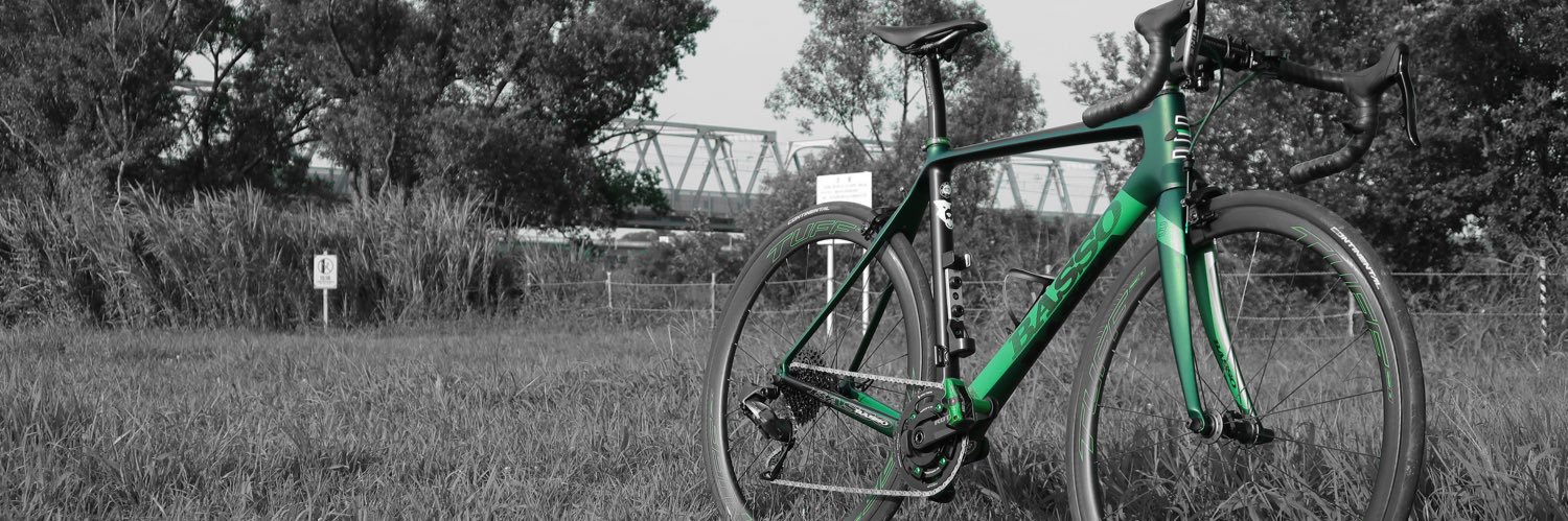 trunkverdebike's profile banner image