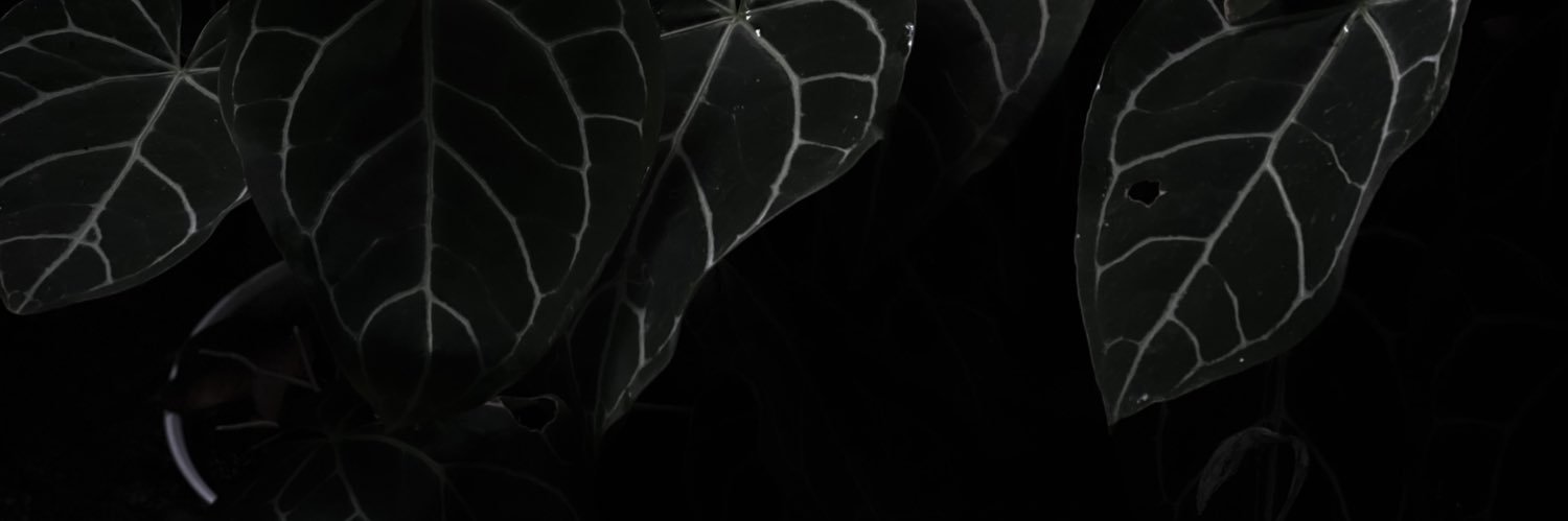 FentiRicha's profile banner image