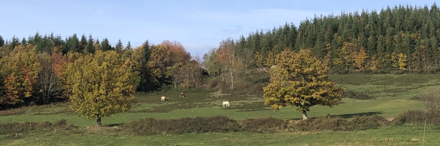 TimmJeanPhilippe🇫🇷🇮🇱🇦🇲 banner