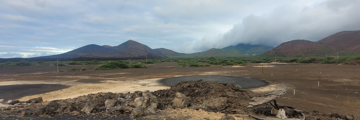 Catriona Macdonald banner