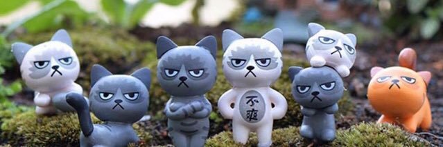 maisey☔️🌊 banner