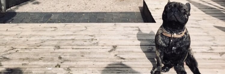 Ashley Tooth banner