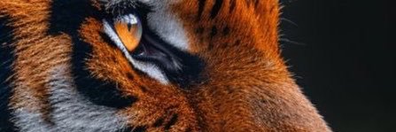bwill8407's profile banner image